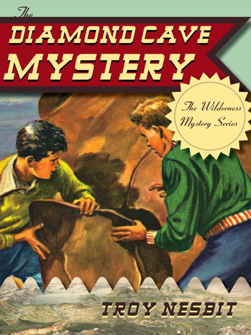 Title details for The Diamond Cave Mystery by Troy Nesbit - Available